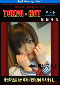 【Blu-ray 東熱流藤軍団潰滅中出し】の一覧画像