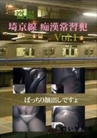 【盗撮 埼京線 痴漢常習犯 1】の一覧画像