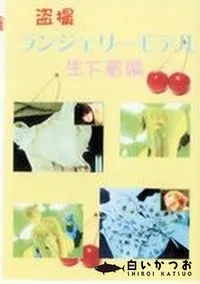 【盗撮 ランジェリーモデル 生下着編】の一覧画像