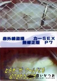 【赤外線盗撮 カーSEX 無修正版 P7】の一覧画像