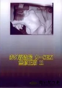 【赤外線盗撮 カーSEX 無修正版 11】の一覧画像