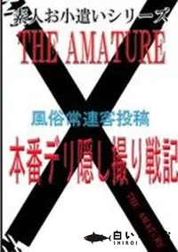 【素人お小遣いシリーズ 30 本番デリ隠し撮り戦記】の一覧画像