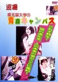 【盗撮 東北某大学の青姦キャンパス】の一覧画像