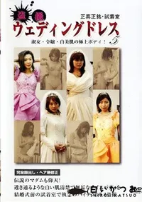 【盗撮ウェディングドレス 5 】の一覧画像