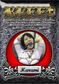 【BREED 13 】の一覧画像