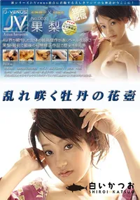 【乱れ咲く牡丹の花壺 】の一覧画像