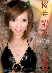 【Gold Angel　ゴールドエンジェル 12 】の一覧画像
