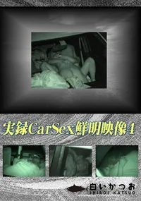 【実録CarSex鮮明映像4 】の一覧画像