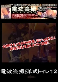 【電波盗撮!洋式トイレ 12】の一覧画像