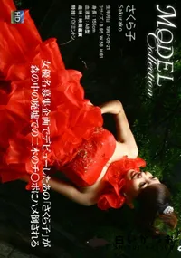 【Model Collection 78モデルコレクションエレガンス】の一覧画像