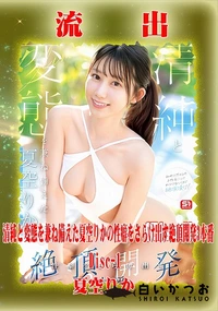 【【極秘流出】夏□りか リメイク Disc-1】の一覧画像