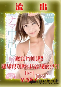 【【極秘流出】星□莉子 リメイク Disc-1】の一覧画像