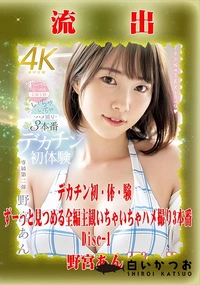 【【極秘流出】野□あん リメイク Disc-1】の一覧画像