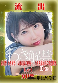 【【極秘流出】夏□響 リメイク Disc-1】の一覧画像