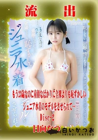 【【極秘流出】日□なつ リメイク Disc-2】の一覧画像