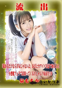 【【極秘流出】泉□もか リメイク】の一覧画像