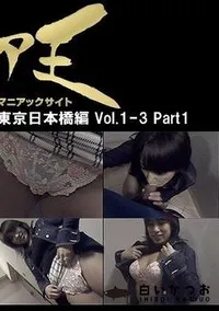 【ザ・ナンパけもの道4 日本のへそ･東京日本橋編 Vol.1-3 Part1 素人】の一覧画像