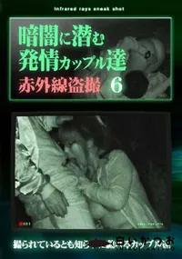 【暗闇に潜む発情カップル達6】の一覧画像