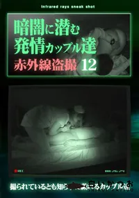 【暗闇に潜む発情カップル達12】の一覧画像