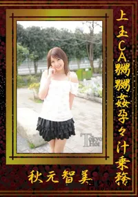 【上玉CA嬲嬲姦孕々汁乗務】の一覧画像