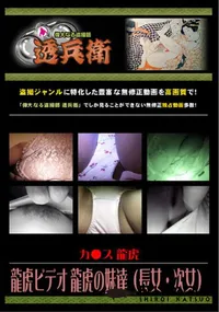 【龍虎ビデオ龍虎の妹達(長女・次女)】の一覧画像