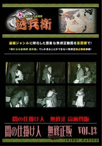 【闇の仕掛け人　無修正版　Vol.13 】の一覧画像