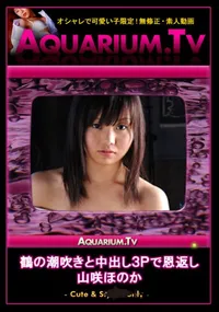 【鶴の潮吹きと中出し3Pで恩返し 】の一覧画像