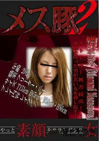 【ストーカー被害続出!!刃物を持った男が若い女を脅し犯す! 】の一覧画像