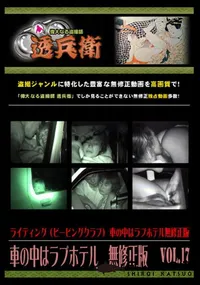 【車の中はラブホテル　無修正版　 Vol.17 】の一覧画像