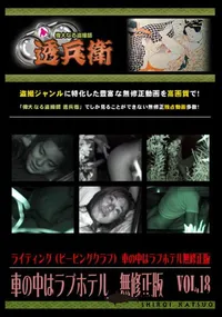 【車の中はラブホテル　無修正版　 Vol.18 】の一覧画像