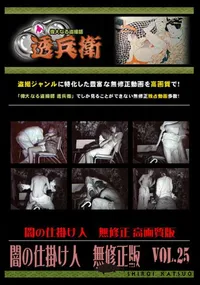 【闇の仕掛け人　無修正版　Vol.25 】の一覧画像