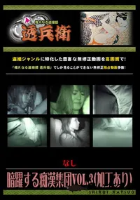 【暗躍する痴漢集団Vol.3 】の一覧画像