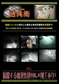 【暗躍する痴漢集団Vol.4 】の一覧画像