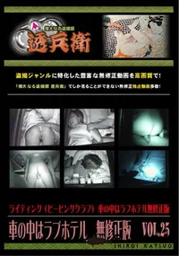 【車の中はラブホテル　無修正版　 Vol.25】の一覧画像