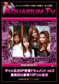 【ギャル乱交6P密着ドキュメント vol.3　最終回は豪華10Pフル乱交　】の一覧画像