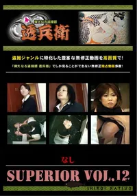 【SUPERIOR VOL.12 】の一覧画像