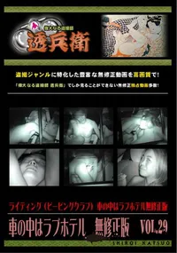 【車の中はラブホテル　無修正版　 Vol.29 】の一覧画像