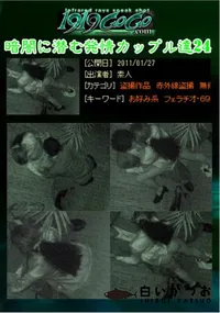 【暗闇に潜む発情カップル達24 】の一覧画像