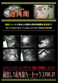 【蔵出し!!赤外線カーセックスVol.12 】の一覧画像