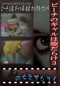【ビーチのギャルは隙だらけ3 】の一覧画像