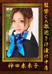 【監禁CA激逝き汁漬け中毒 】の一覧画像