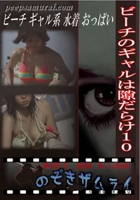 【ビーチのギャルは隙だらけ10 】の一覧画像