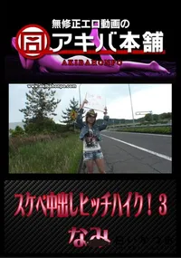 【スケベ中出しヒッチハイク! 3 】の一覧画像