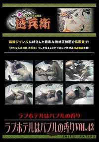 【ラブホテルはバブルの香りVol.43 】の一覧画像