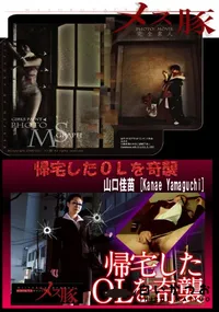 【帰宅したOLを奇襲】の一覧画像