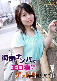 【街頭ナンパでエロ妻ゲット！！】の一覧画像