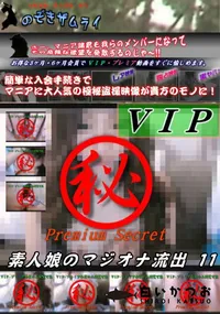 【素人娘のマジオナ流出 11】の一覧画像
