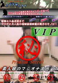 【素人娘のマジオナ流出 17】の一覧画像