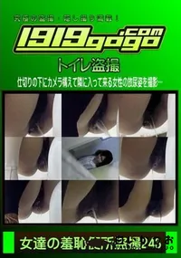 【女達の羞恥便所盗撮 Vol.243】の一覧画像