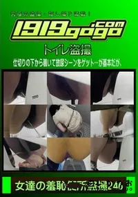 【女達の羞恥便所盗撮 Vol.246】の一覧画像